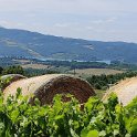 IMG_20210703_125734