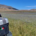 IMG_20210705_110612