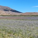 IMG_20210705_110625