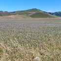 IMG_20210705_111307