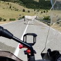 IMG_20210705_150626
