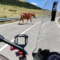 IMG_20210705_150733