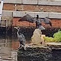 IMG_20210717_105655