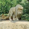 IMG_20210724_115152