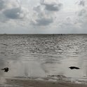 IMG_20210809_164837