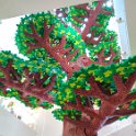 IMG_20210810_112604
