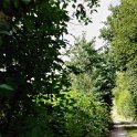 IMG_20210812_150006