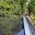 IMG_20210812_150013