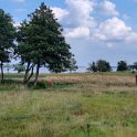 IMG_20210812_151038