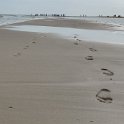 IMG_20210813_105433