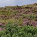 IMG_20210813_154152