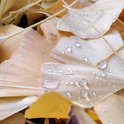 IMG_20211126_100530