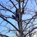 IMG_20211211_145236