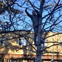 IMG_20211212_144747