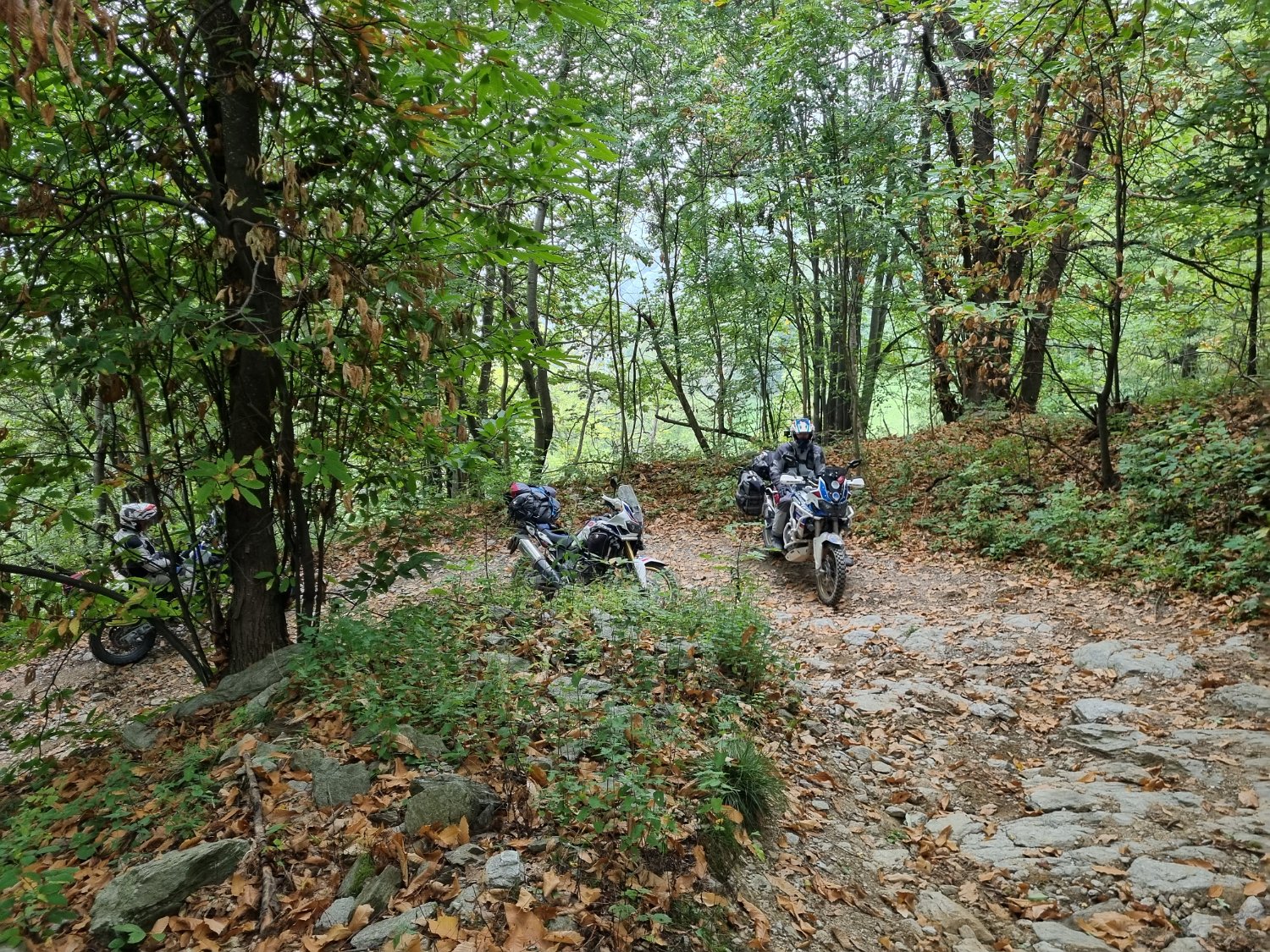 20210923_103931