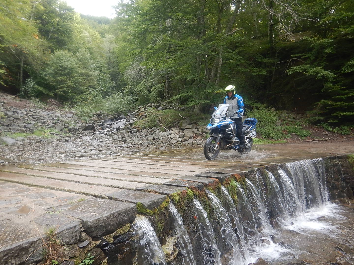 DSCN9637