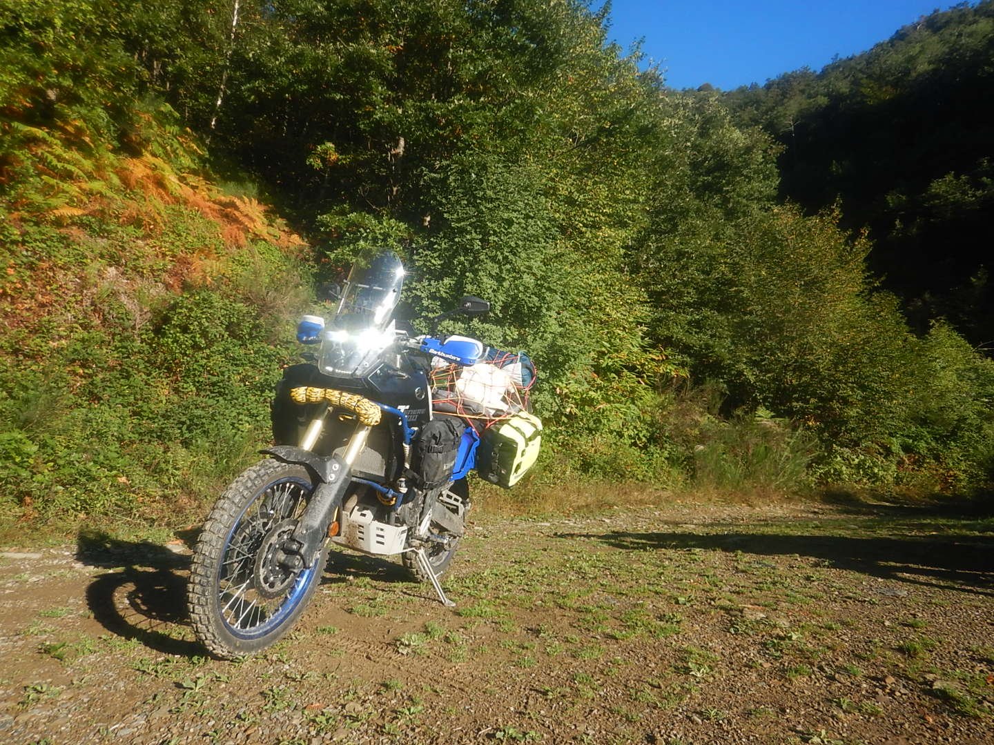 DSCN9655