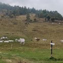 IMG_20210923_094029