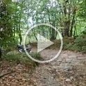 VID-20210923-WA0030