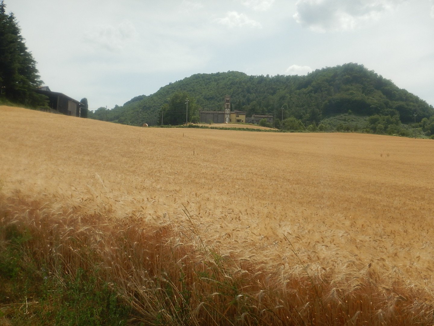 DSCN9545