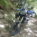 DSCN9542