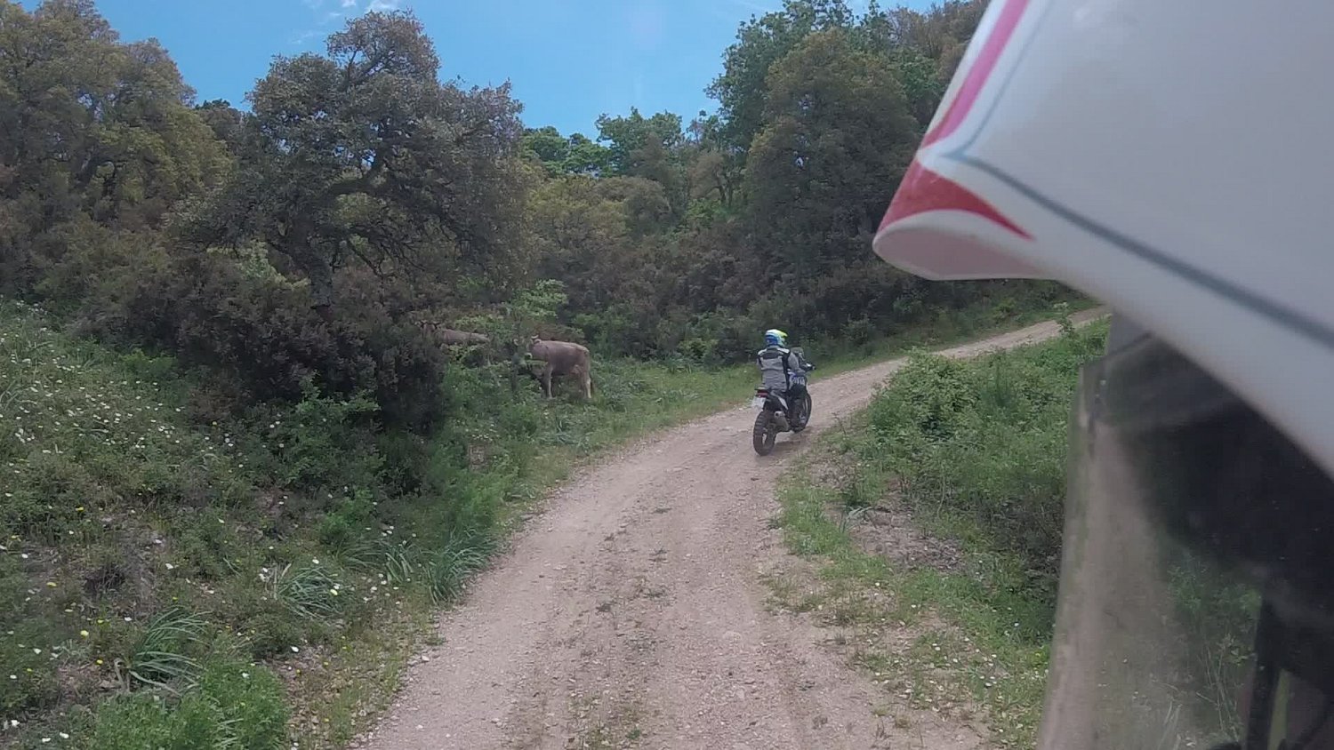 Play video