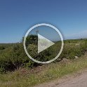 GOPR5362