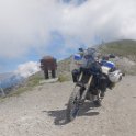 DSCN9446