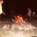 DSCN9492