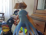 IMG-20200501-WA0005.jpeg