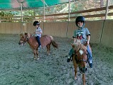 IMG-20200627-WA0013.jpg