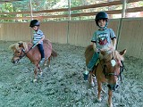 IMG-20200627-WA0019.jpg