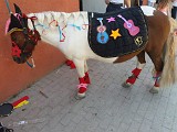 IMG-20200627-WA0044.jpg