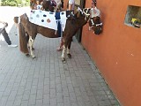IMG-20200627-WA0049.jpg
