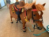 IMG-20200627-WA0059.jpg