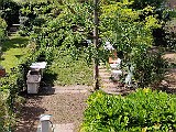 IMG_20200502_102316.jpg