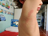 IMG_20200515_080803_Bokeh.jpg
