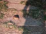 IMG_20200515_223207.jpg