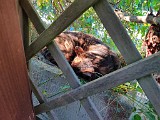 IMG_20200522_185812.jpg
