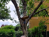 IMG_20200530_151408.jpg