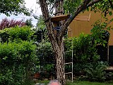 IMG_20200530_151412.jpg