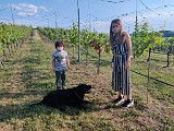 IMG_20200602_181359.jpg