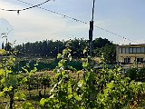 IMG_20200602_181641.jpg