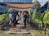 IMG_20200602_181652.jpg