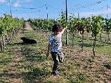 IMG_20200602_181745.jpg