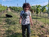 IMG_20200602_181746.jpg