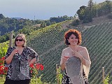 IMG_20200602_183229.jpg