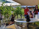 IMG_20200602_185017.jpg