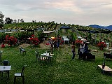 IMG_20200602_202753.jpg