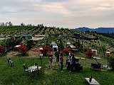IMG_20200602_202759.jpg